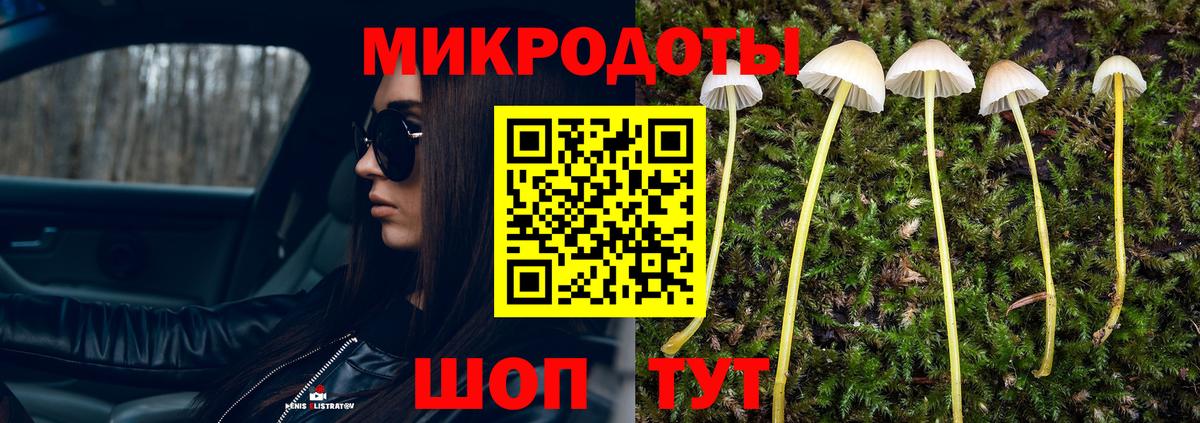 Благодарный  Псилоцибиновые грибы GOLDEN TEACHER  Вход с VPN 